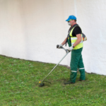 Diseño sin título-5